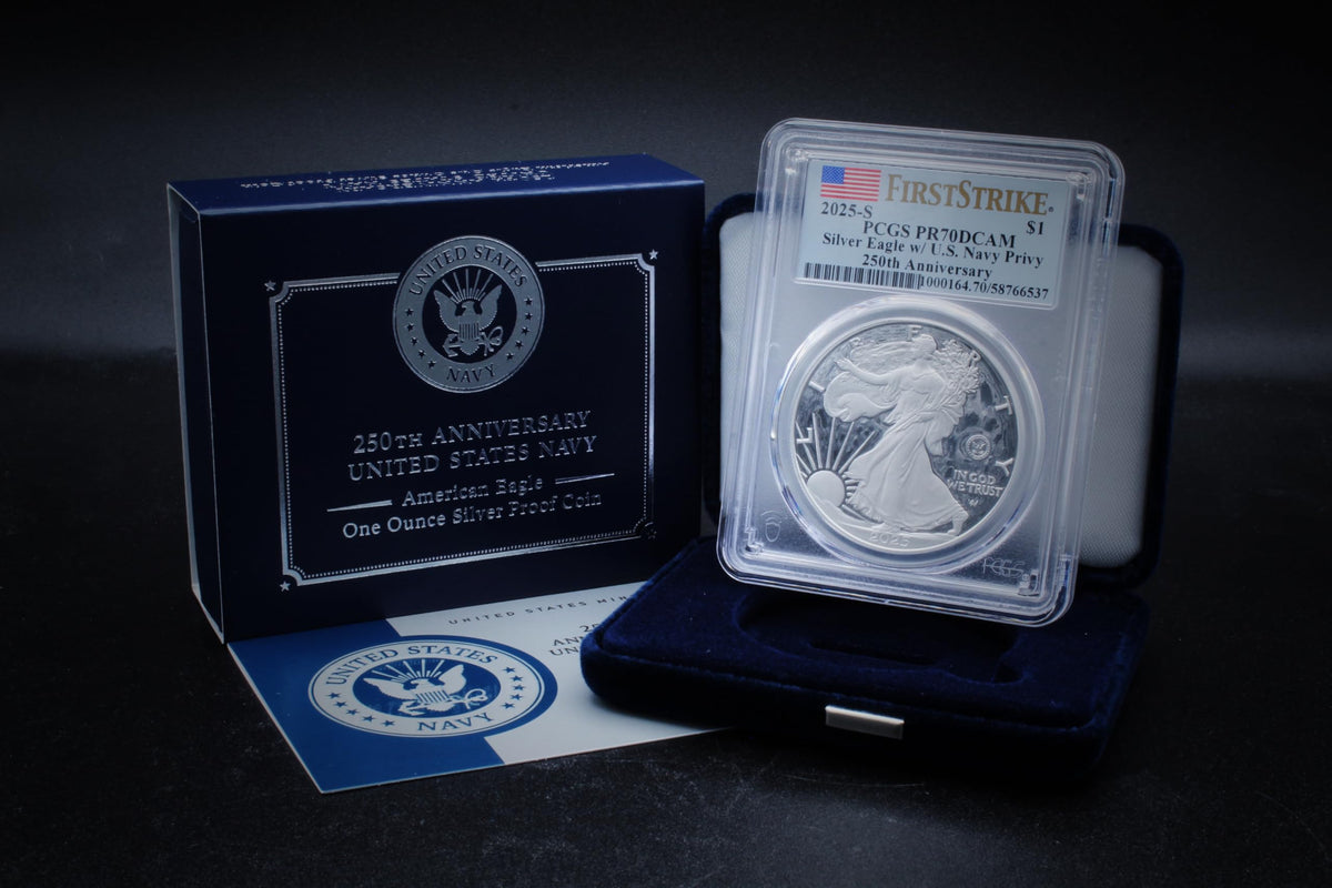 1 oz American Silver Eagle Coin R2904