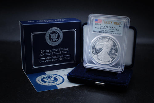 1 oz American Silver Eagle Coin R2904