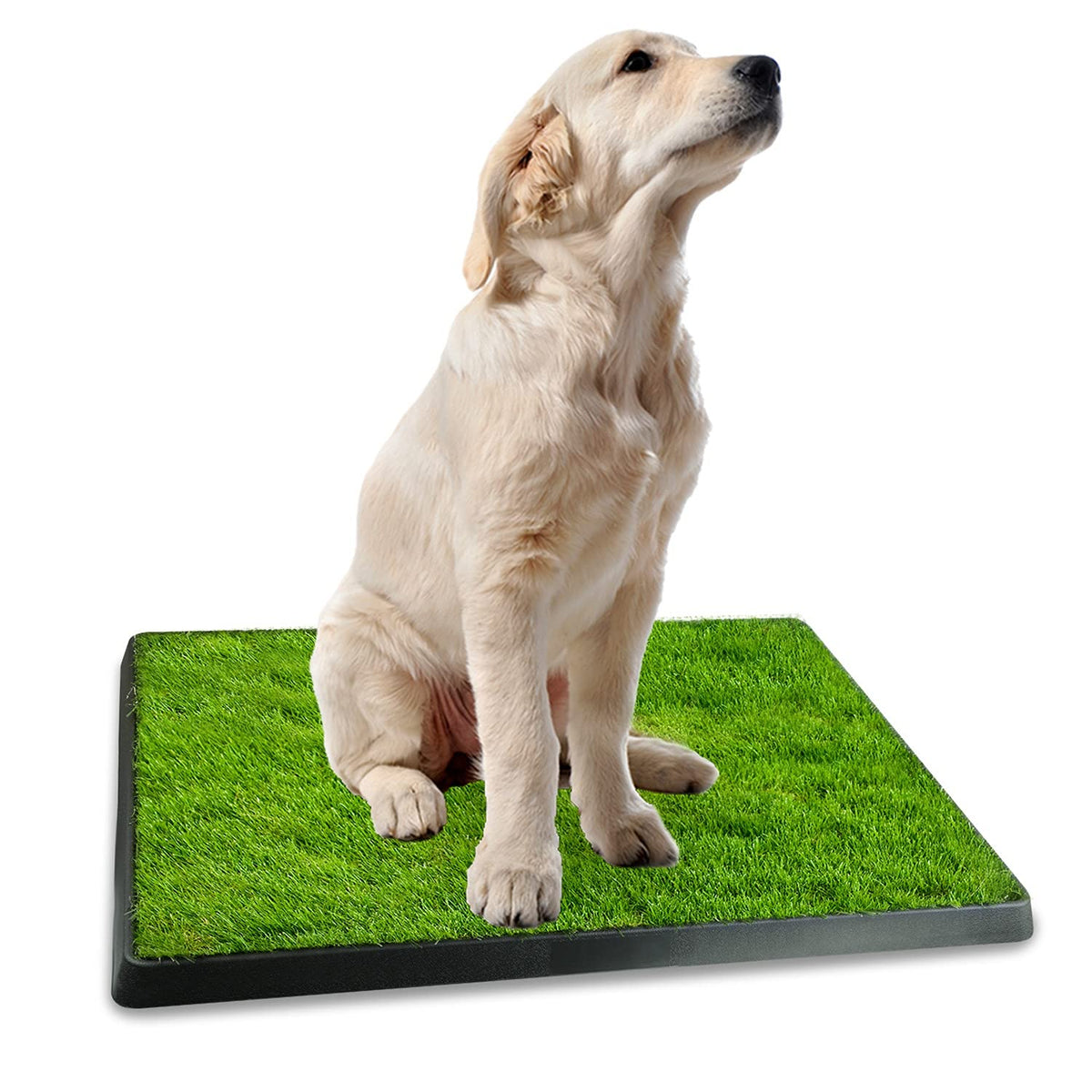 Indoor Dog Potty Grass Pad with Tray G5646