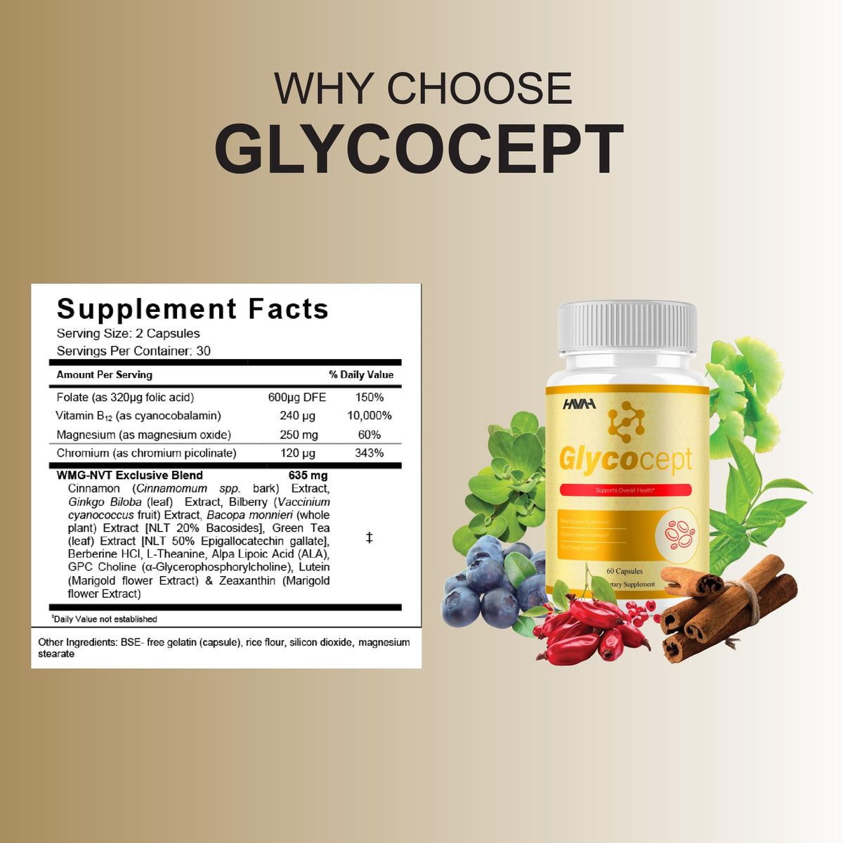5 Pack 300 Capsules Blood Support P865
