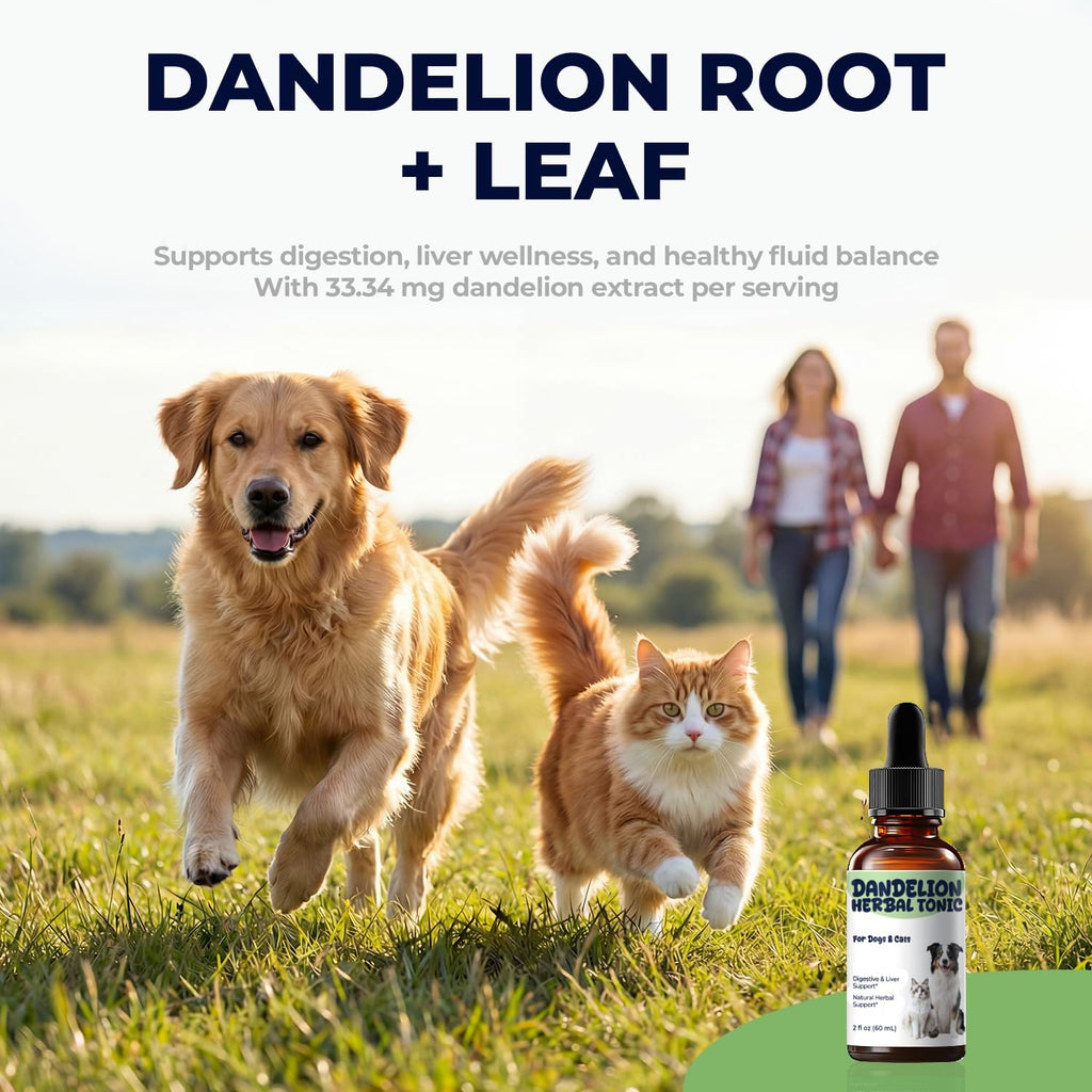 Dandelion Root & Leaf Extract Drops H5555