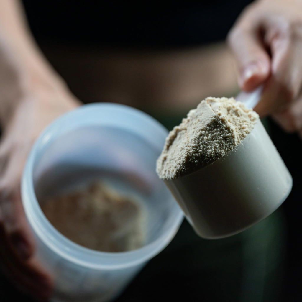 Vegan Protein Powder Vanilla T96375