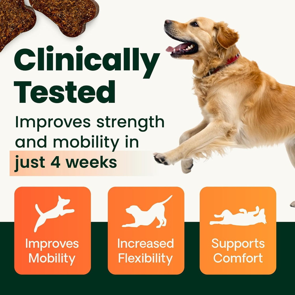 Chicken Hip & Joint Tablets for Dogs, 120 Count Q59165