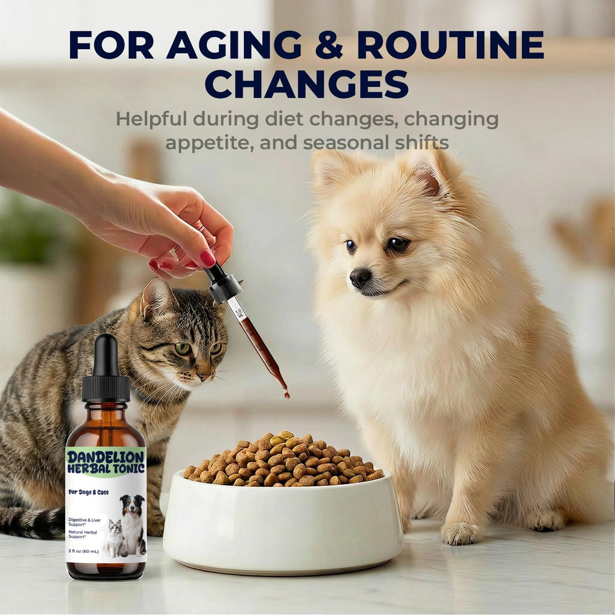 Dandelion Root & Leaf Extract Drops H5555