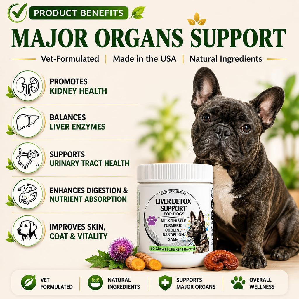 Liver Support Supplement for Dogs – Milk Thistle, Turmeric, Same & Choline – 90 Chews R598147