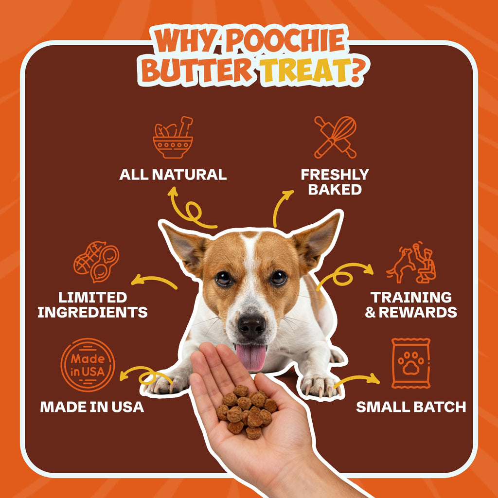 Soft & Chewy Pumpkin Dog Treats 8oz 2 Pack V51399