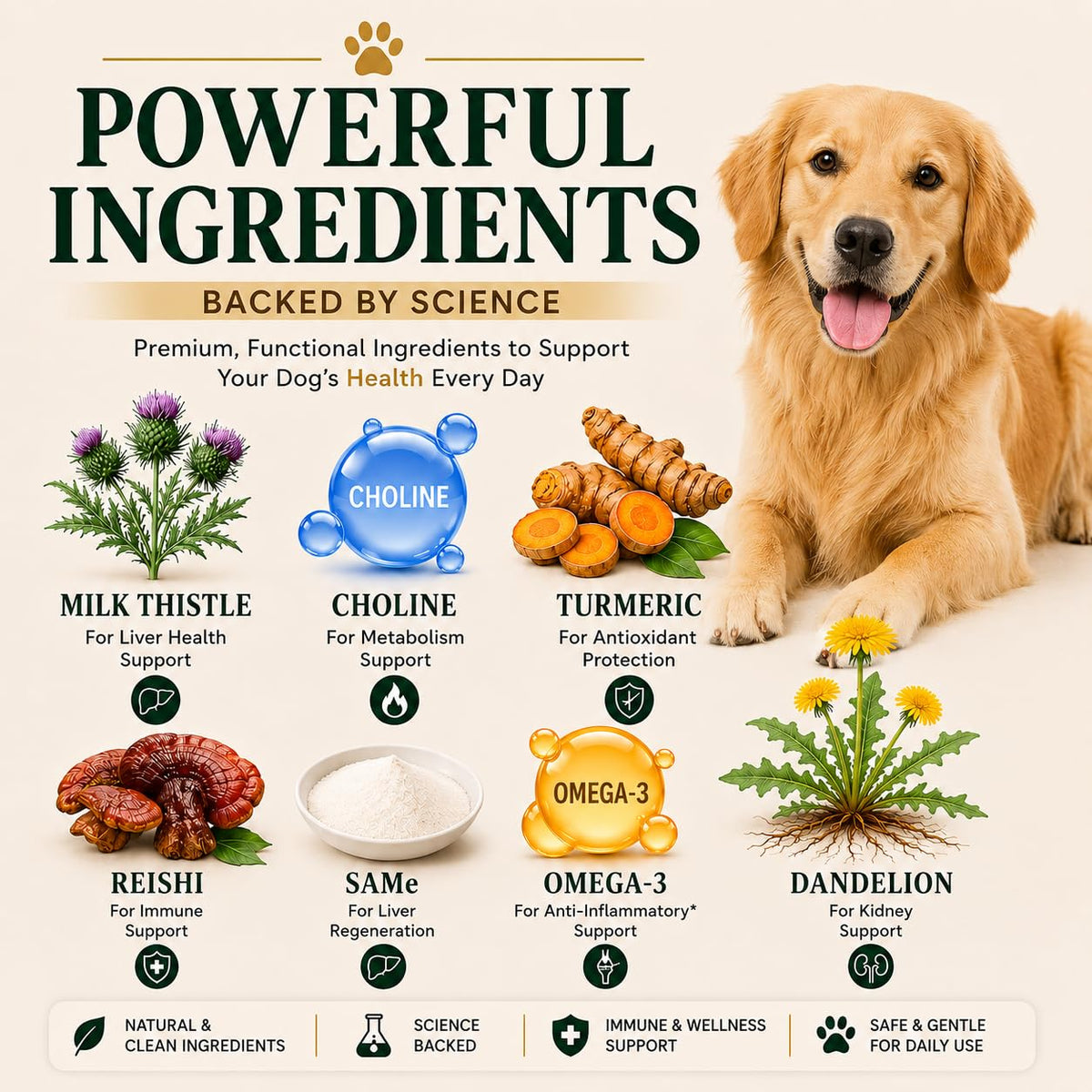 Liver Support Supplement for Dogs – Milk Thistle, Turmeric, Same & Choline – 90 Chews R598147