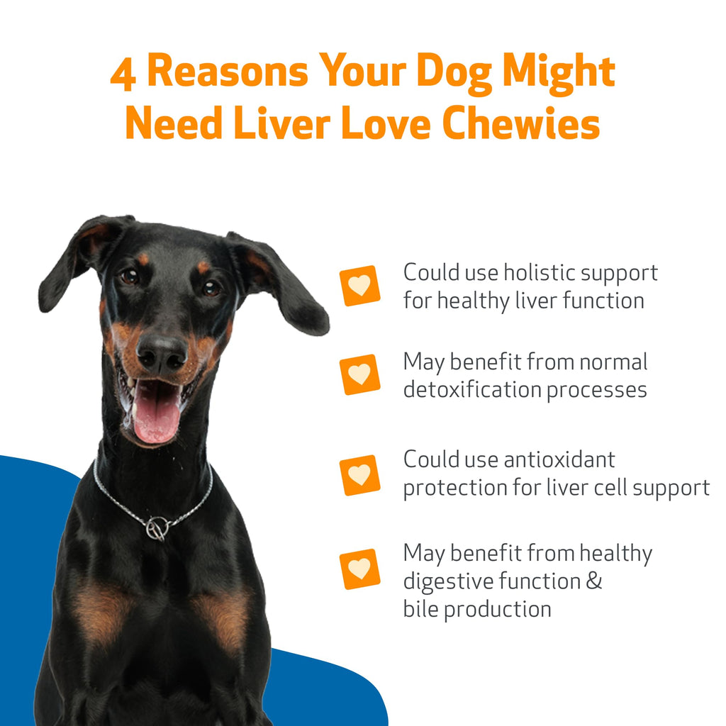 Liver Support Chewies for Dogs, 90 Ct T999
