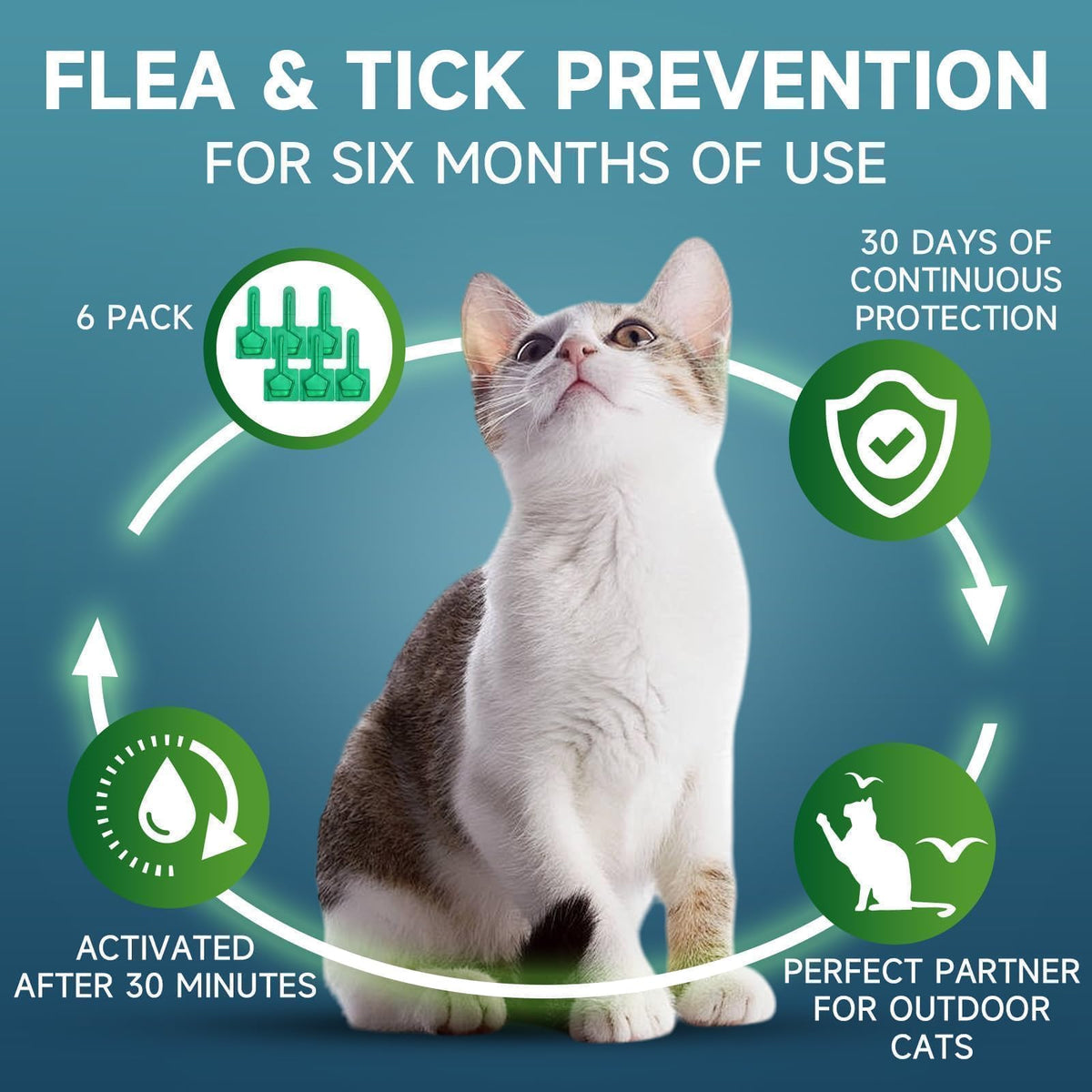 Cat Flea and Tick Treatment, 6 Doses V7557