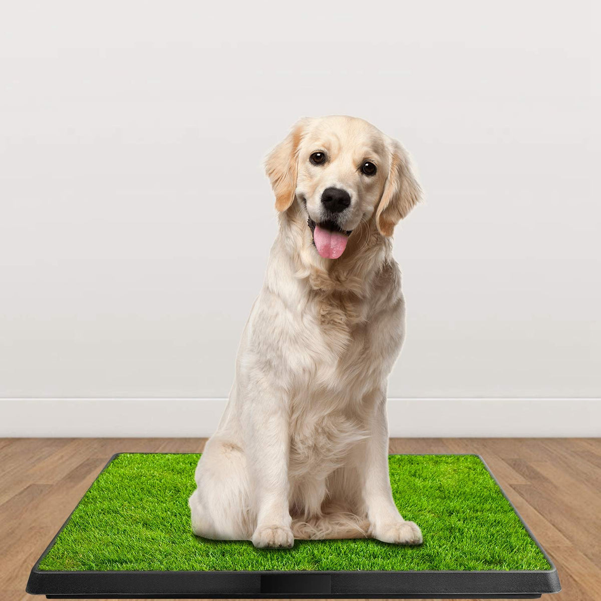 Indoor Dog Potty Grass Pad with Tray G5646