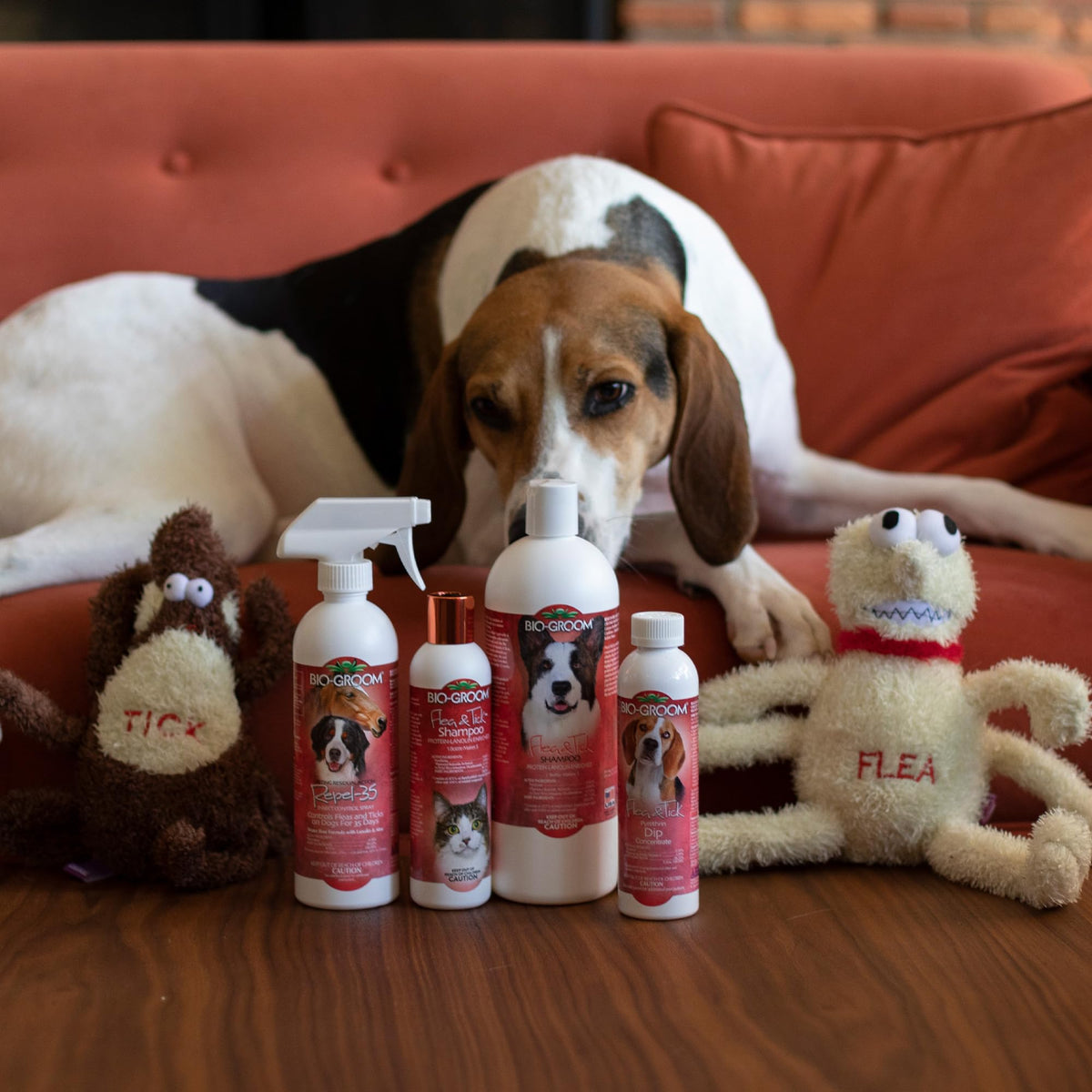 Flea & Tick Dog Shampoo & Repel Spray J490267