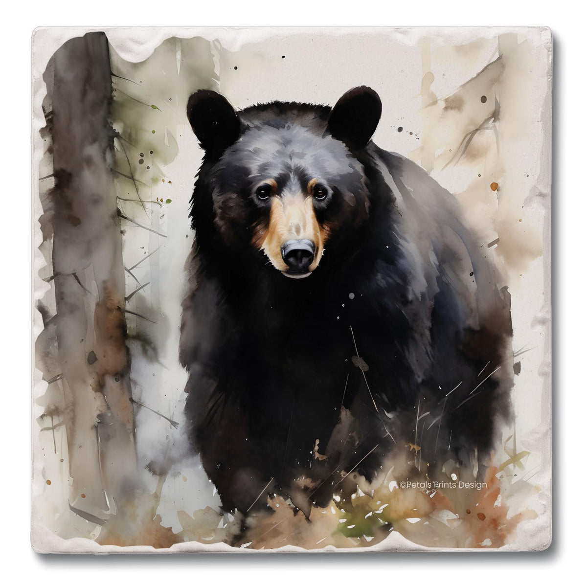 Absorbent Stone Coasters, Set of 4 J241