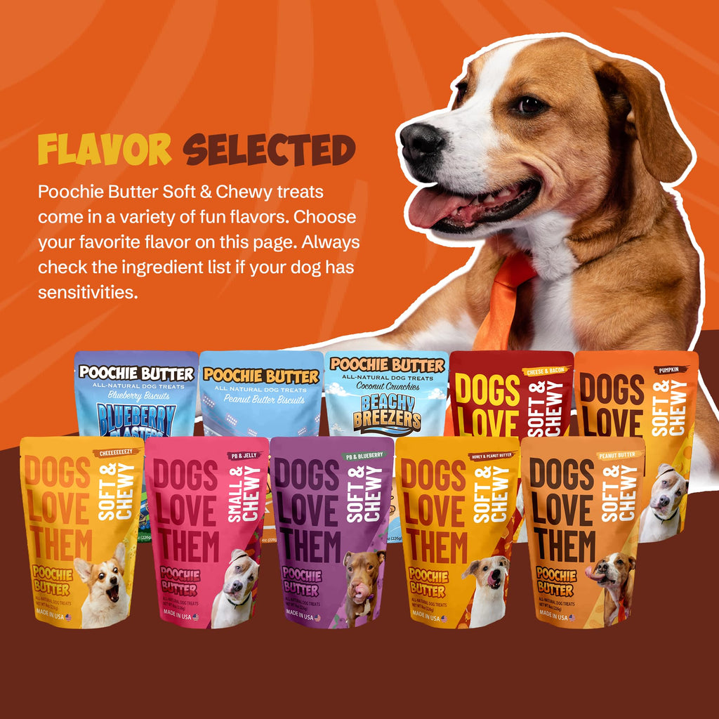 Soft & Chewy Pumpkin Dog Treats 8oz 2 Pack V51399