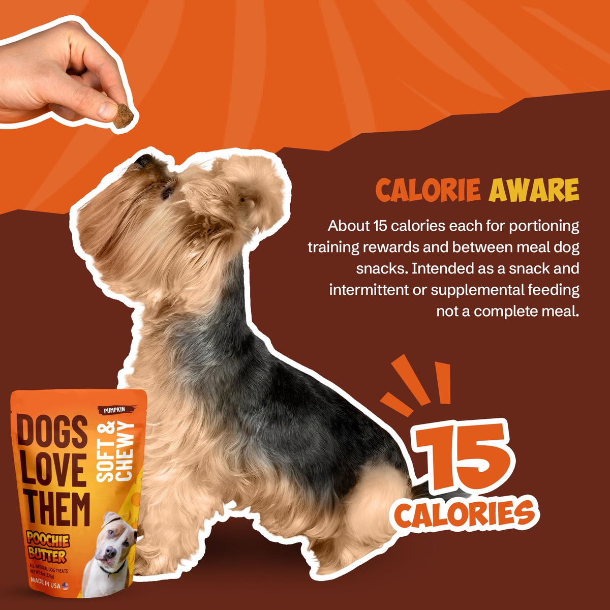 Soft & Chewy Pumpkin Dog Treats 8oz 2 Pack V51399