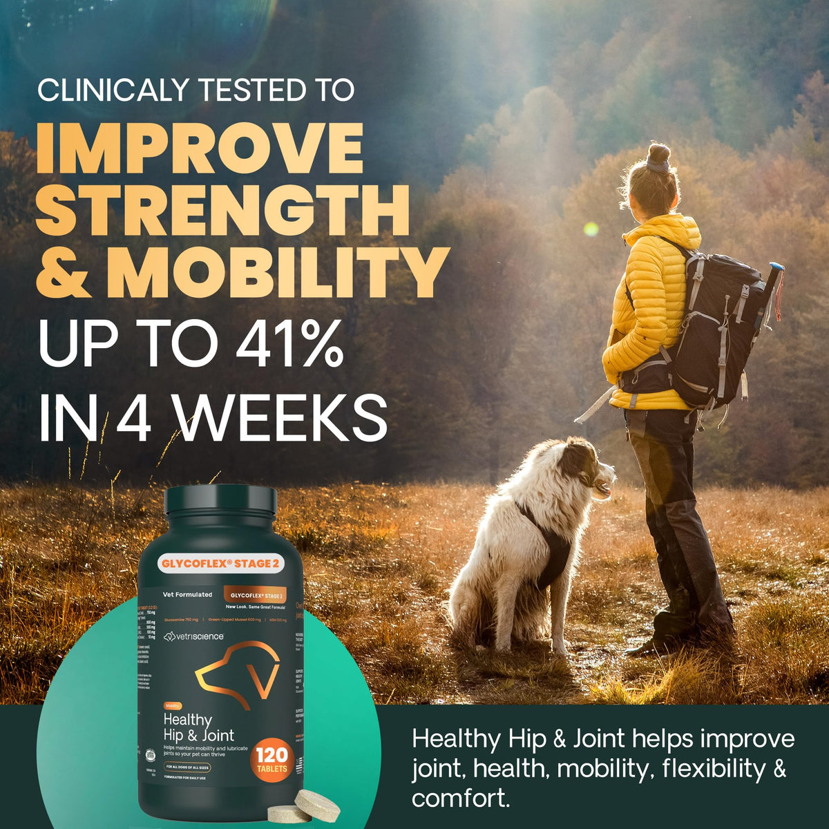 Chicken Hip & Joint Tablets for Dogs, 120 Count Q59165