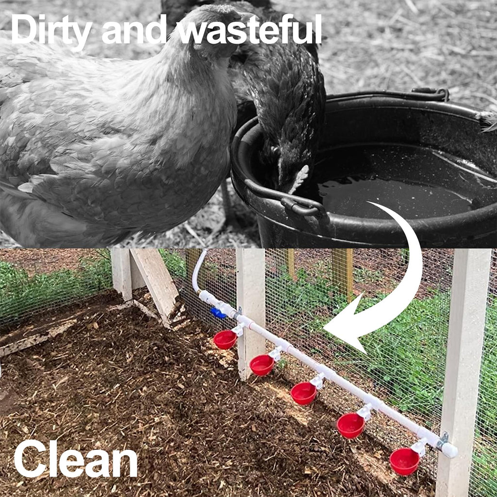 16 Pack Poultry Waterer Cups with Mounting Hole Opener N6265