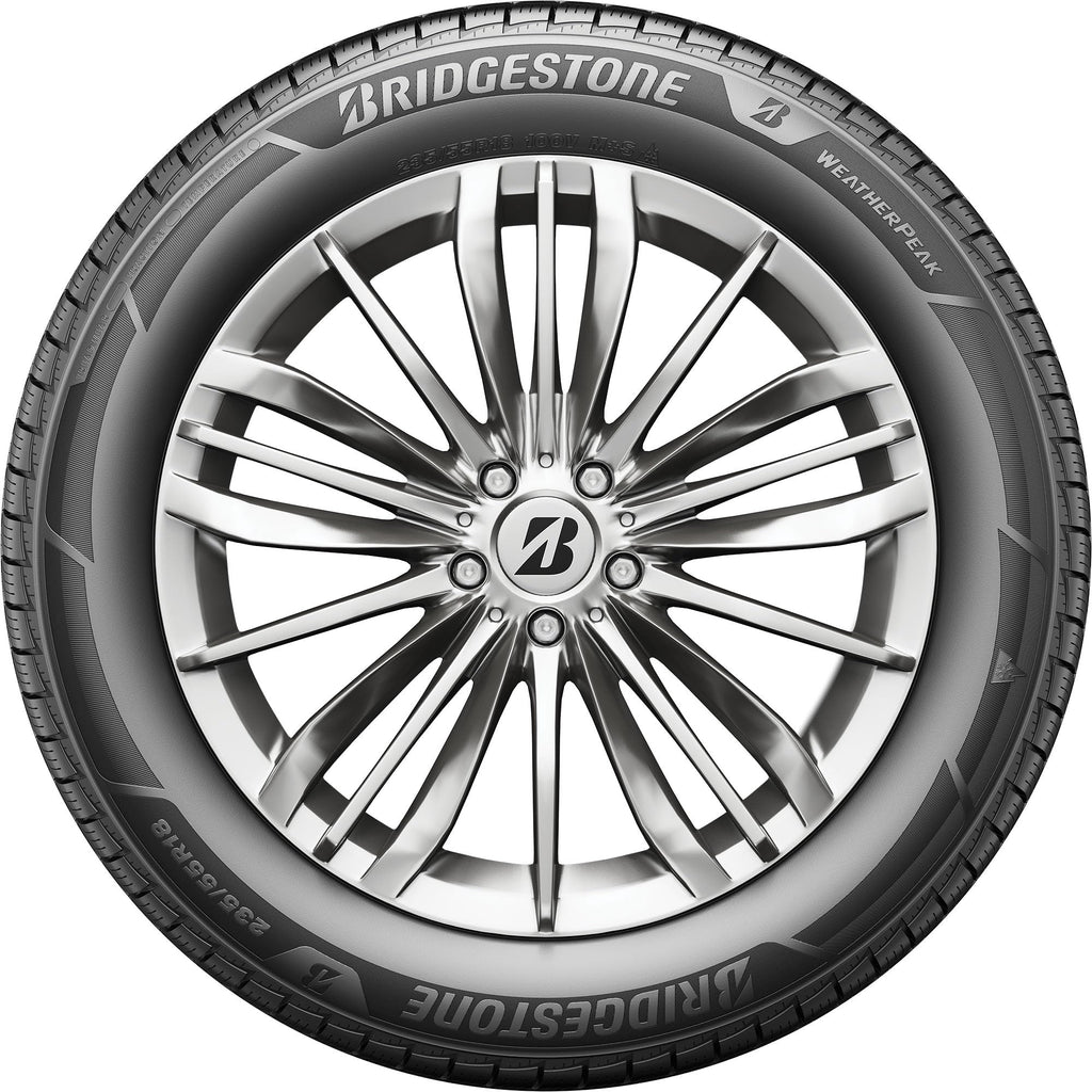 All Weather 265/60R18 110V Passenger Tire U3484