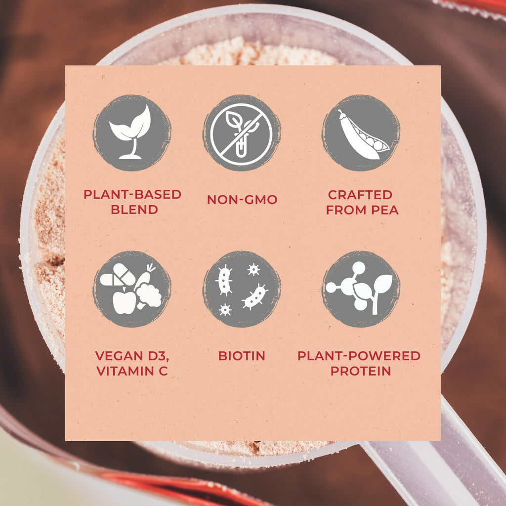 Vegan Protein Powder Vanilla T96375