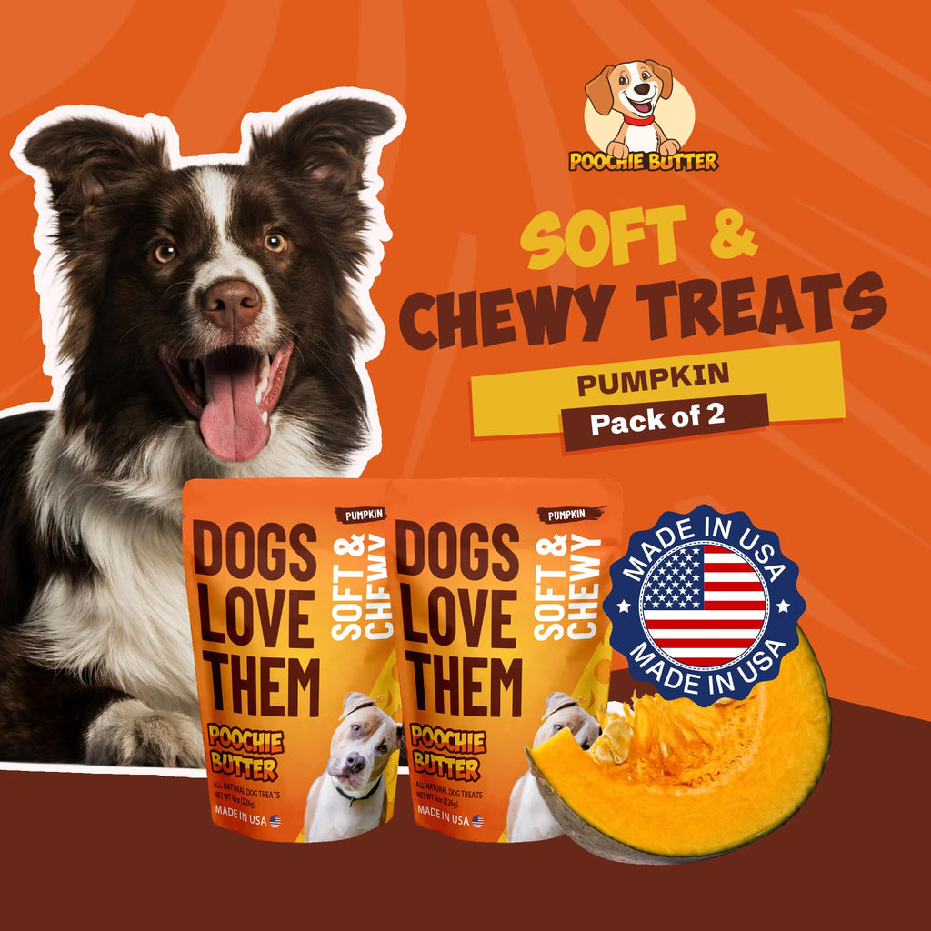 Soft & Chewy Pumpkin Dog Treats 8oz 2 Pack V51399
