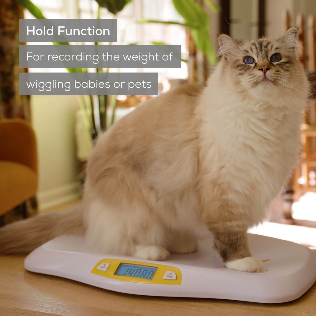 Digital Baby Scale up to 44 lbs with Hold Function C15201