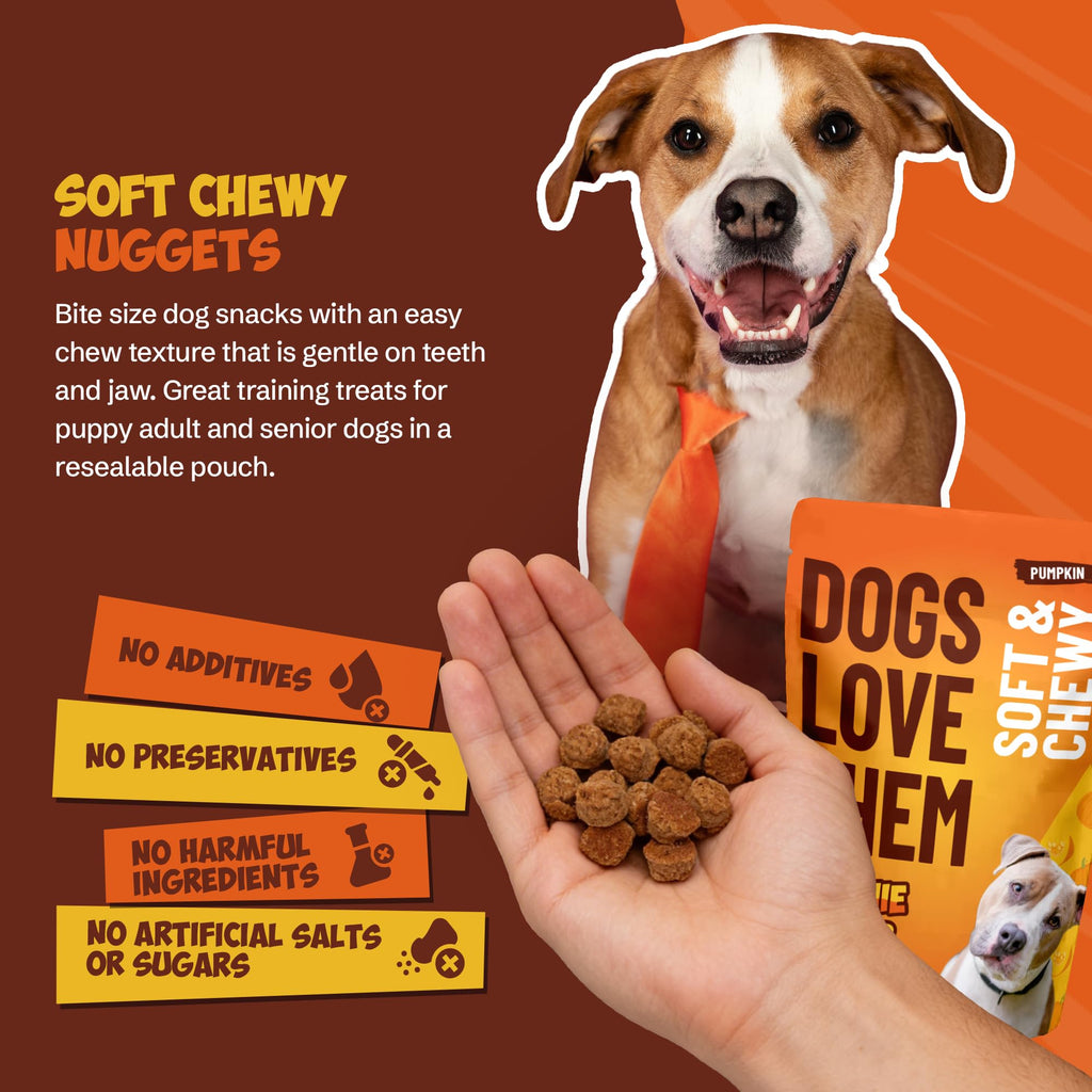 Soft & Chewy Pumpkin Dog Treats 8oz 2 Pack V51399