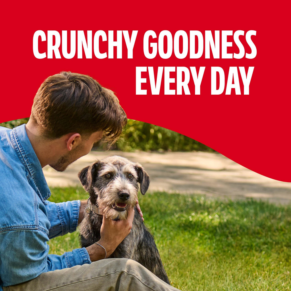 Gravy Coated Small Dog Biscuits W86800