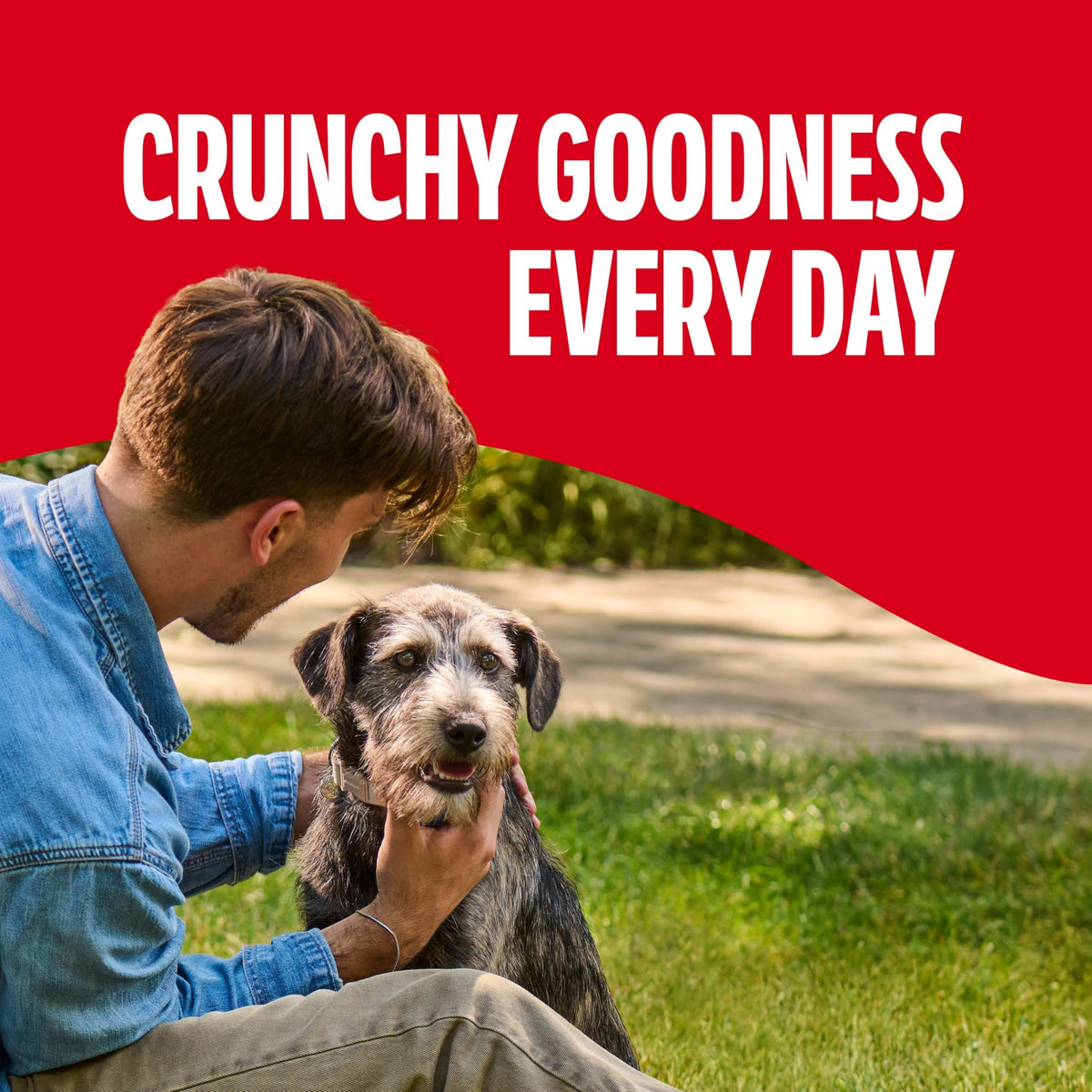 Gravy Coated Small Dog Biscuits W86800
