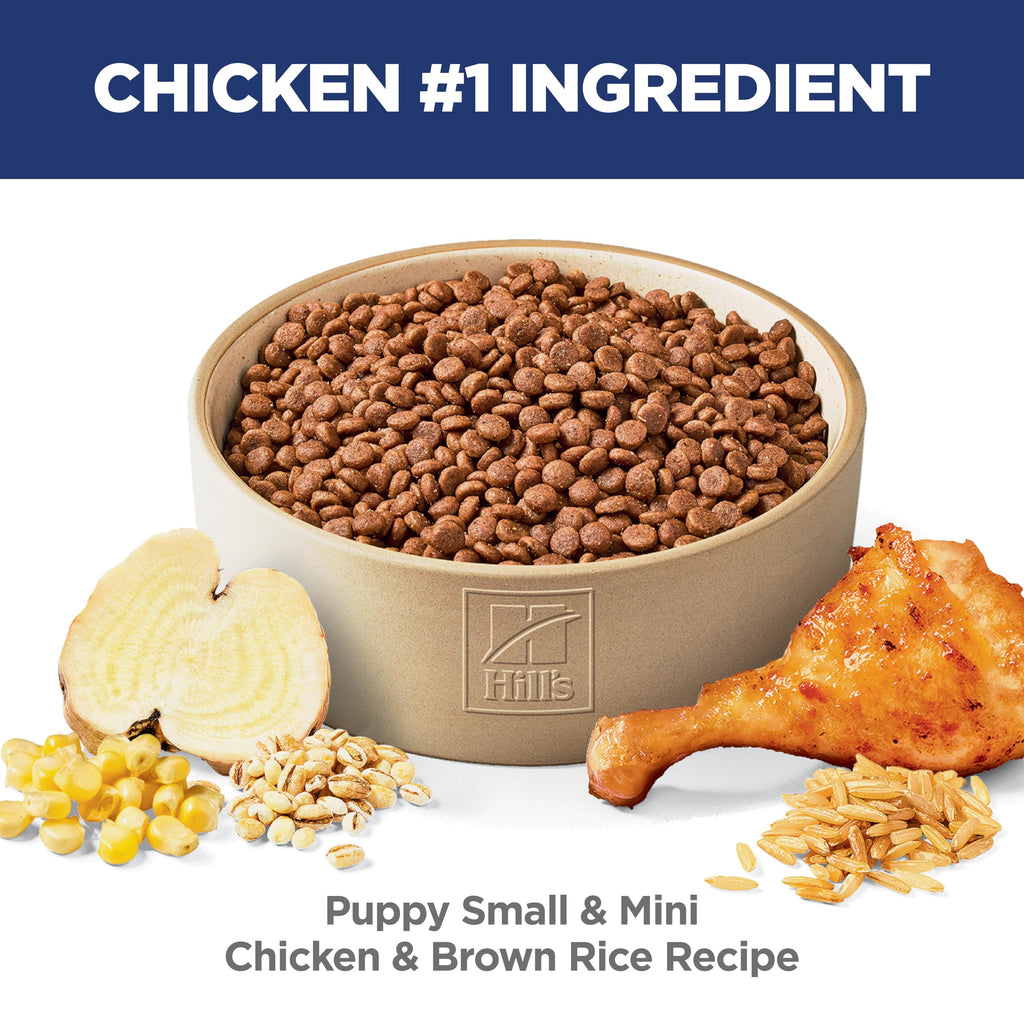 Dry Dog Food Y9032